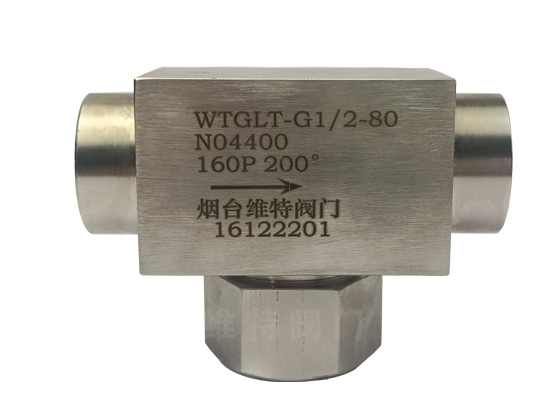 定制化工行业各种合金T型过滤器